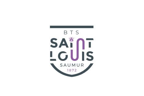 Logo BTS
