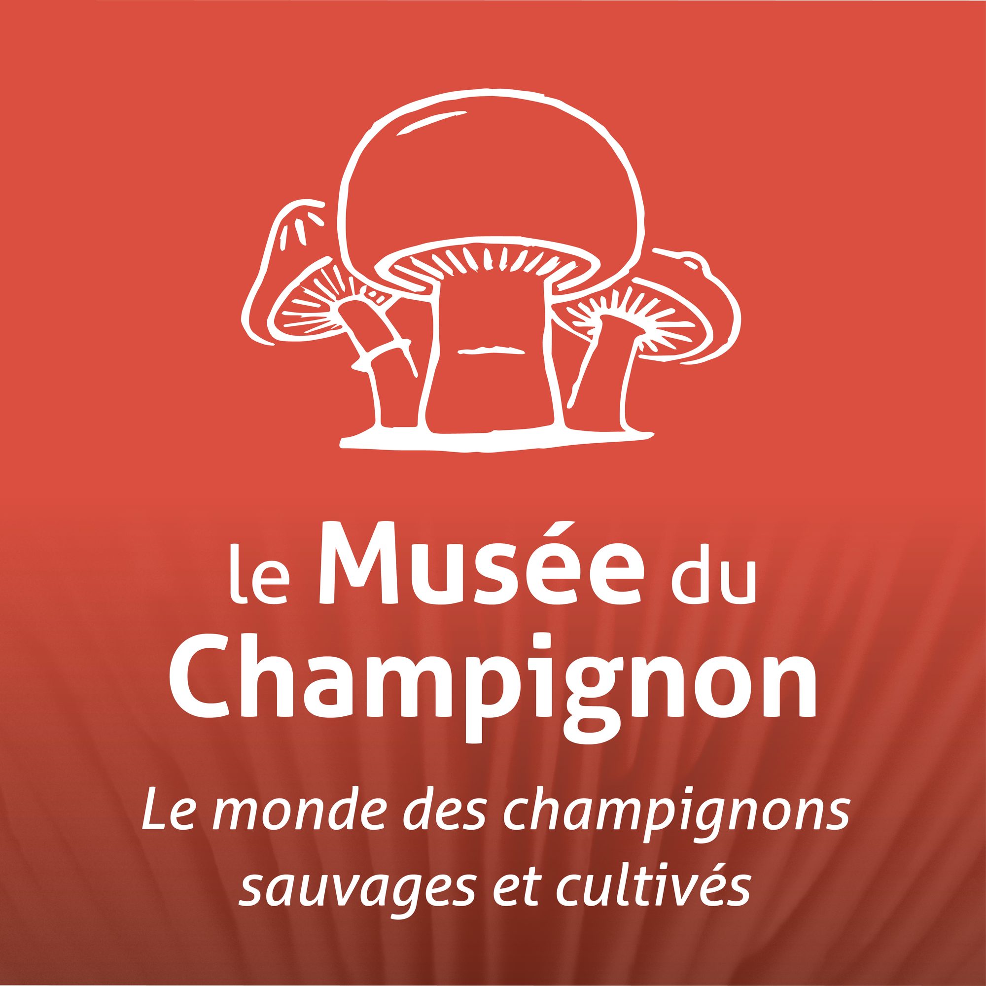 L'objectif